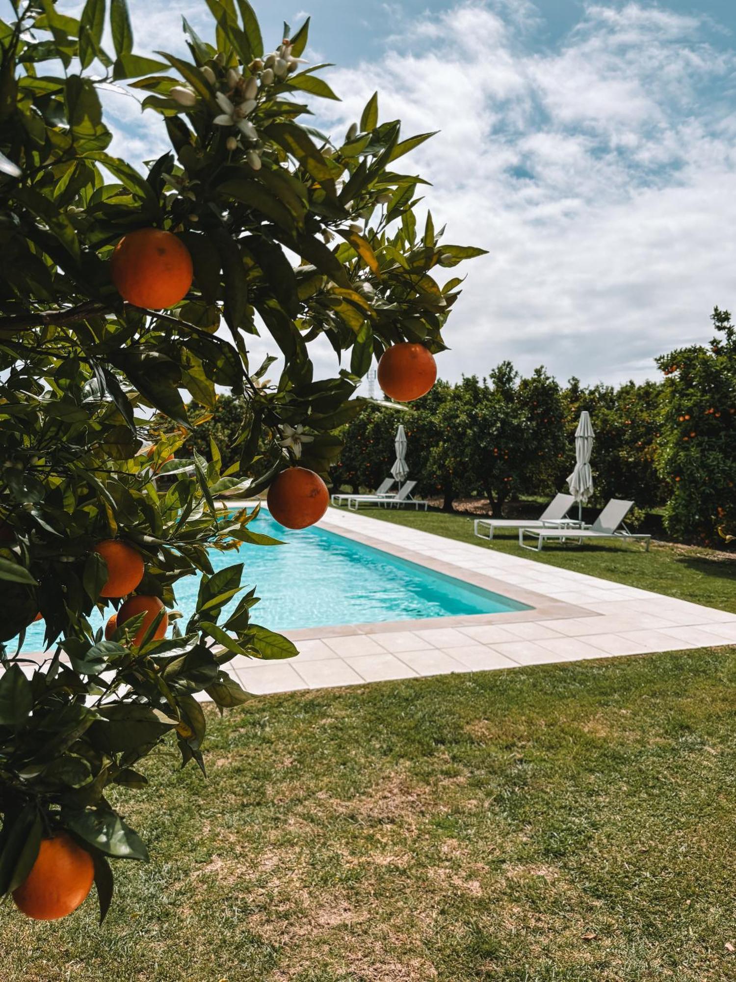Quinta Dos Perfumes Villa Tavira Exterior foto